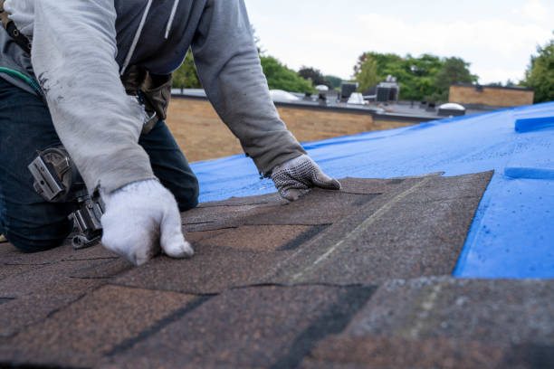 Best Flat Roof Repair Services  in Victor, ID