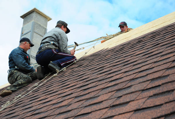 Best Best Roofing Contractors  in Victor, ID